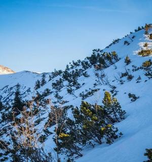 两个人骑车下雪山
