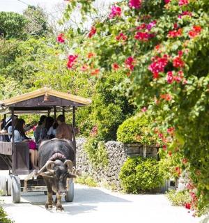 an elephant pulling a trolley filled with people