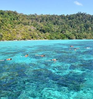 一群人在海里游泳