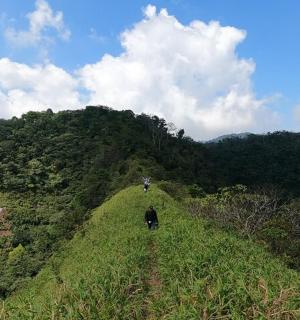 a person walking on a grassy hill with trees