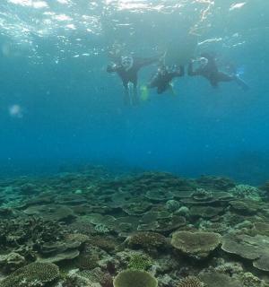 两人在珊瑚礁上潜水