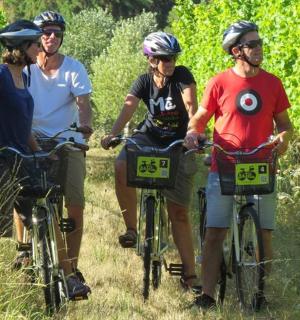a group of people riding bikes on a trail