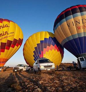 田野里的一群热气球