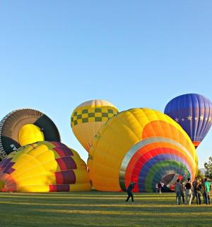a group of hot air balloons in a field