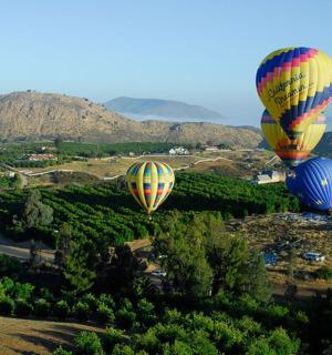 three colorful hot air balloons flying over a forest