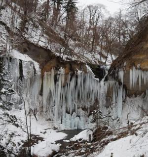 雪地里的树林里的冰洞