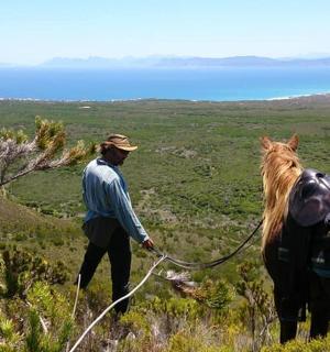 a man with a horse on top of a hill