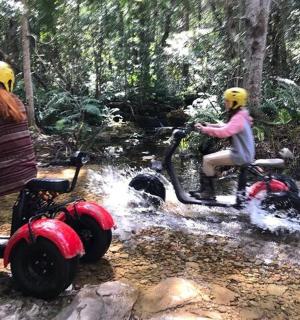 一群人骑着四轮车在树林里