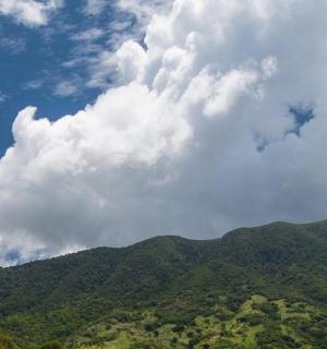 auliculiculiculiculiculiculiculiculiculiculiculiculiculic의 관점