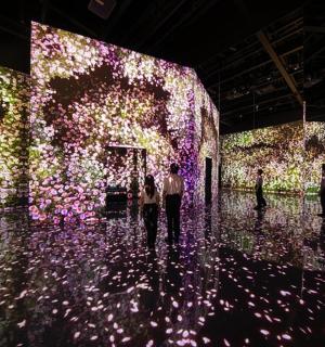 墙上挂满紫色灯光的房间