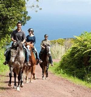 three people riding horses down a dirt road