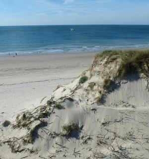 以海洋为背景的沙滩