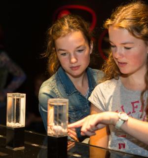 two young girls looking at a display of glasses