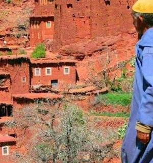 a man is looking out over a canyon