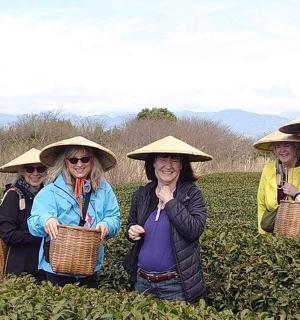 一群戴着帽子的妇女站在田野里