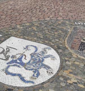 画有动物图案的瓷砖地板