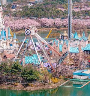 有水上过山车的游乐园