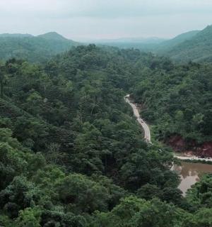 an aerial view of a river in the middle of a forest