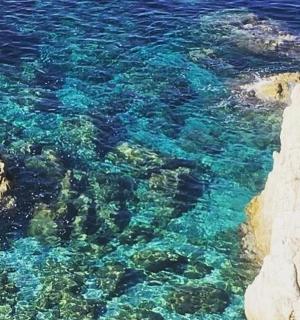 一片有岩石和植物的蓝色水域