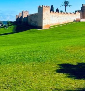 a castle on a hill with a green field