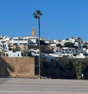 město s bílými budovami a palmami na kopci