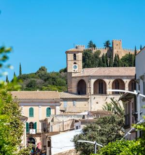 山顶上有一座城堡的小镇