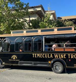 一辆黑色坦帕葡萄酒卡车停在街上