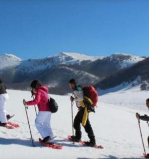 un gruppo di persone sugli sci sulla neve