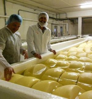 两个人站在一大堆奶酪旁边