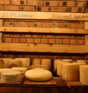 a room with a bunch of stools and a brick wall