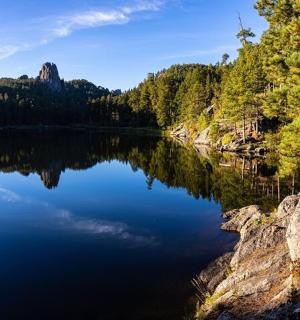 pohled na jezero uprostřed lesa