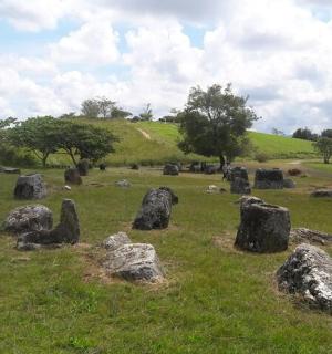 a field of rocks in a field of grass