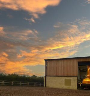 a building with two large gold objects inside of it