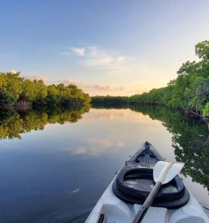 河上的一艘带桨的小船