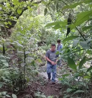 两名男子沿着树林里的小路行走