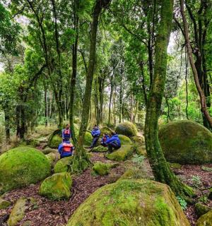 tři lidé sedící na skalách v mechem porostlém lese