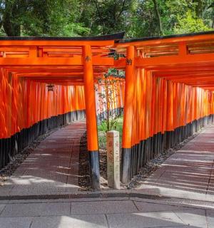 an orange gate with trees in a park
