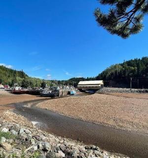 一条河,背景中有一座桥和树木