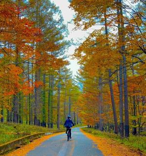 一个人在路上骑自行车