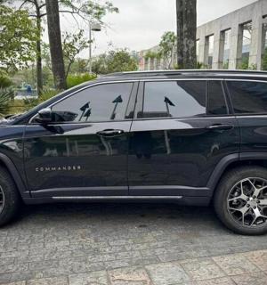 a black suv with birds on the side of it