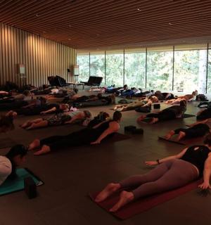 velká skupina lidí cvičících jógu v místnosti