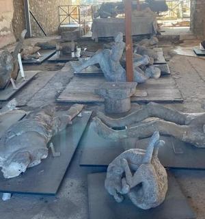 skupina soch zvířat ležících na zemi