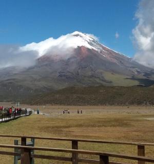 远处有一座白雪覆盖的山，山上有围栏