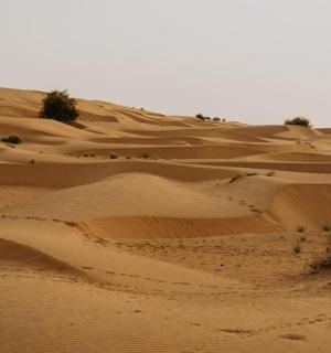 skupina písečných dun v poušti