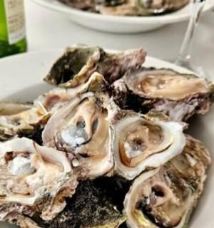 a pile of oysters on a plate on a table