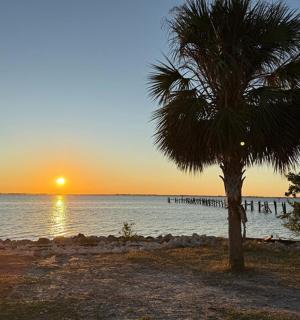 a palm tree on a beach with a sunset
