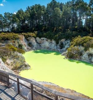 zelená vodní plocha vedle dřevěné promenády