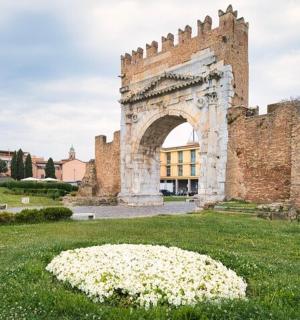草地上鲜花盛开的田野中的拱门
