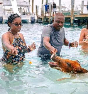 a group of people in the water with a cow
