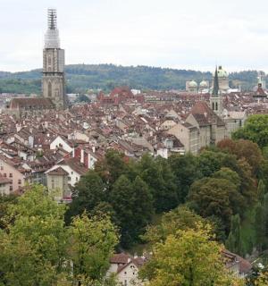 有建筑物和树木的城市景观